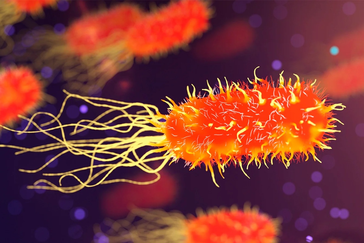 Sav život na Zemlji deli zajedničkog pretka, ali neki naši geni su stariji od njega