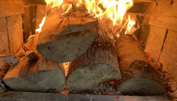 Koje vrste drveta ne smeju da se lože u kući: ove vrste ne greju