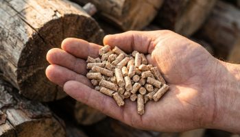 Uštedeli su 70 € po toni peleta. Već nakon prvog punjenja kotla počeli su da se kaju