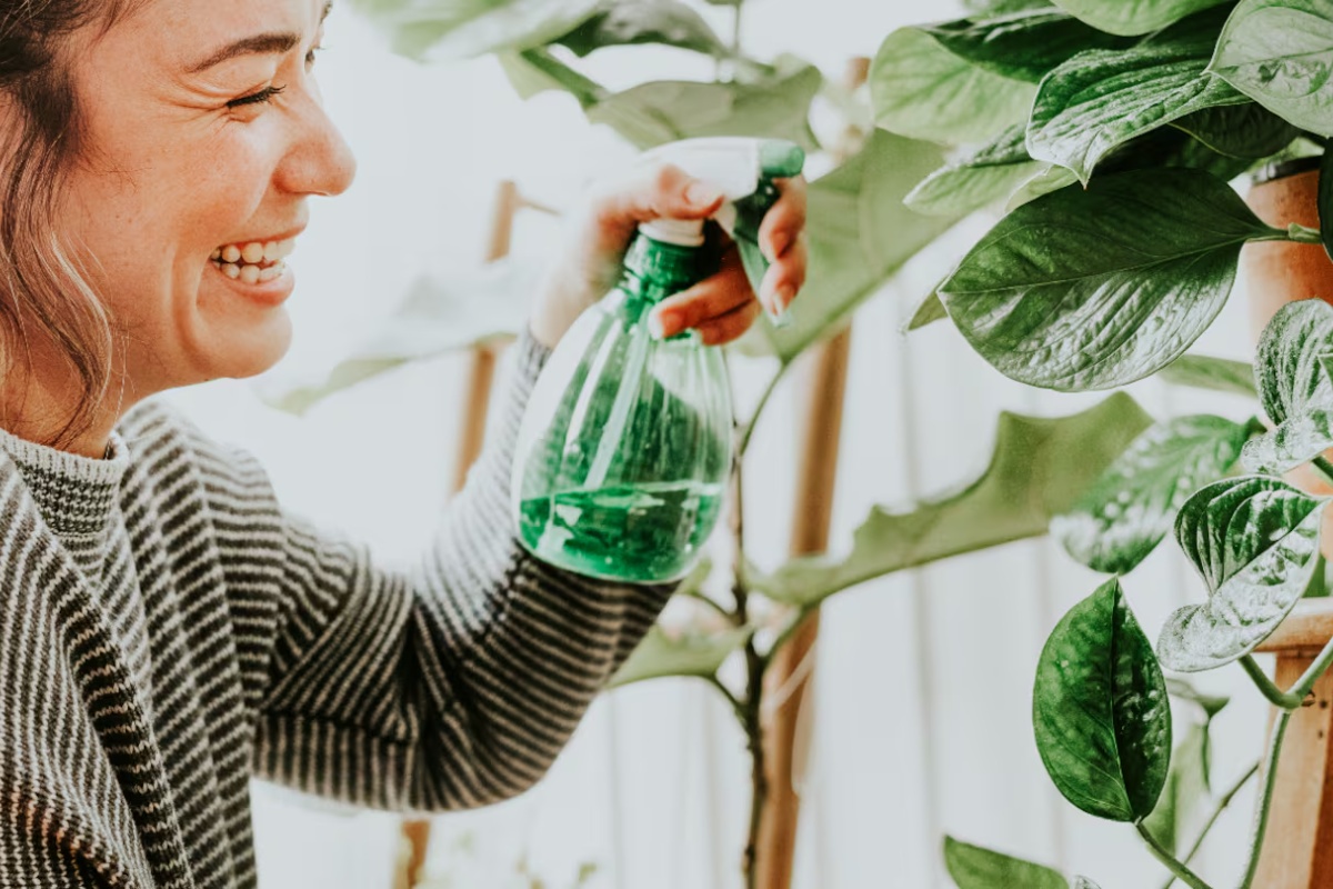 Prskanje biljaka rendanim sapunom razblaženim u vodi i ulju: čemu služi i kada ga primeniti
