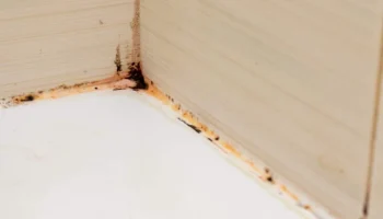 Pomešajte sodu bikarbonu sa nekoliko kapi limuna i nanesite na prljave fuge u kupatilu