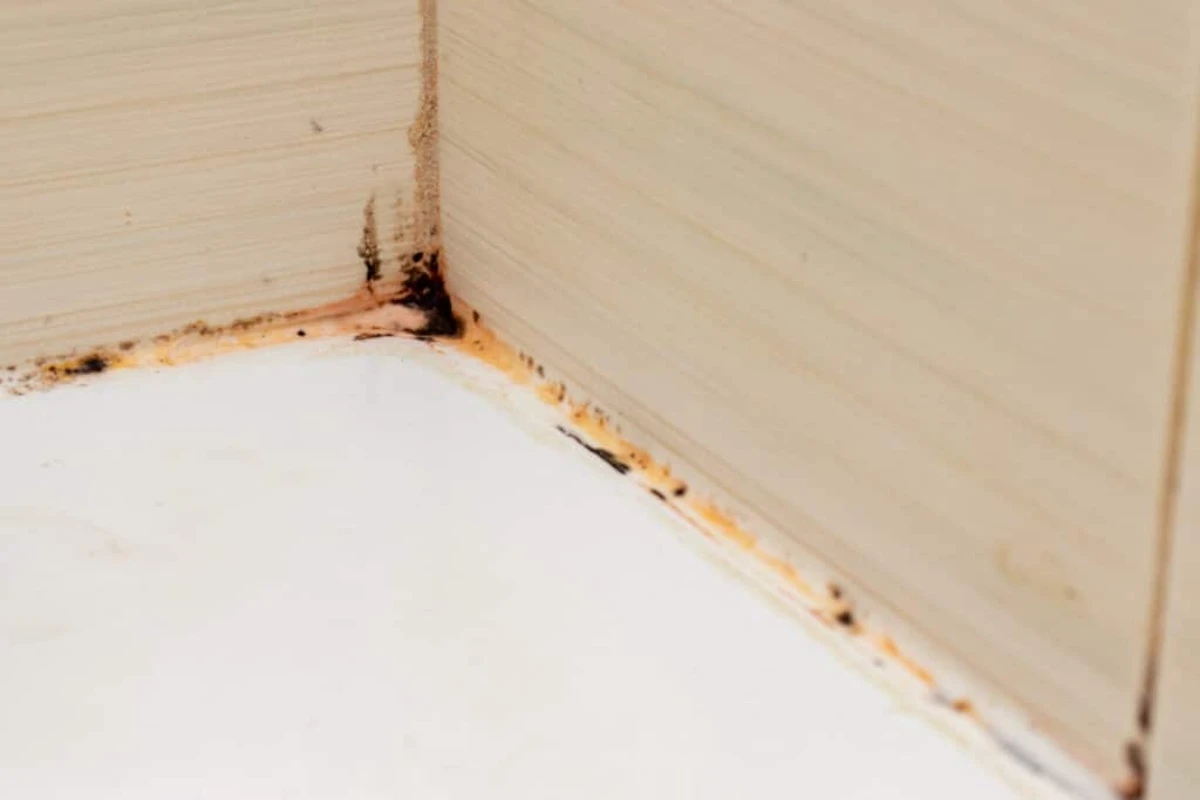 Pomešajte sodu bikarbonu sa nekoliko kapi limuna i nanesite na prljave fuge u kupatilu