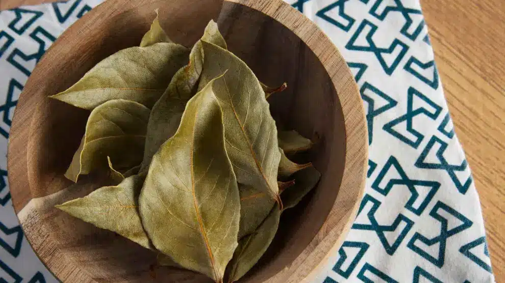 Kuhanje lovora u octu: čemu služi i zašto se preporučuje.