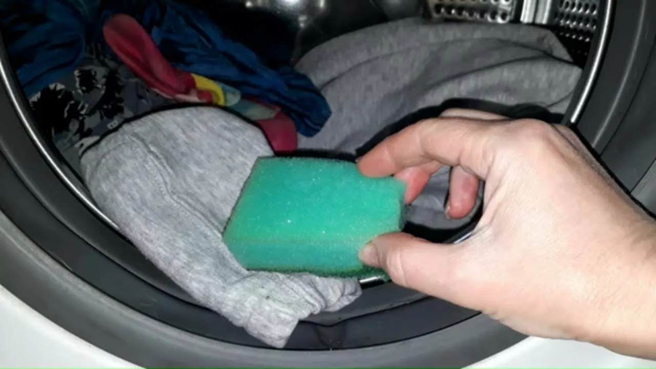 Jos sinulla on keittiösieni, sinulla on aarre: salaisuus, joka parantaa jokaisen pesun laatua ja suojaa pesukonettasi.