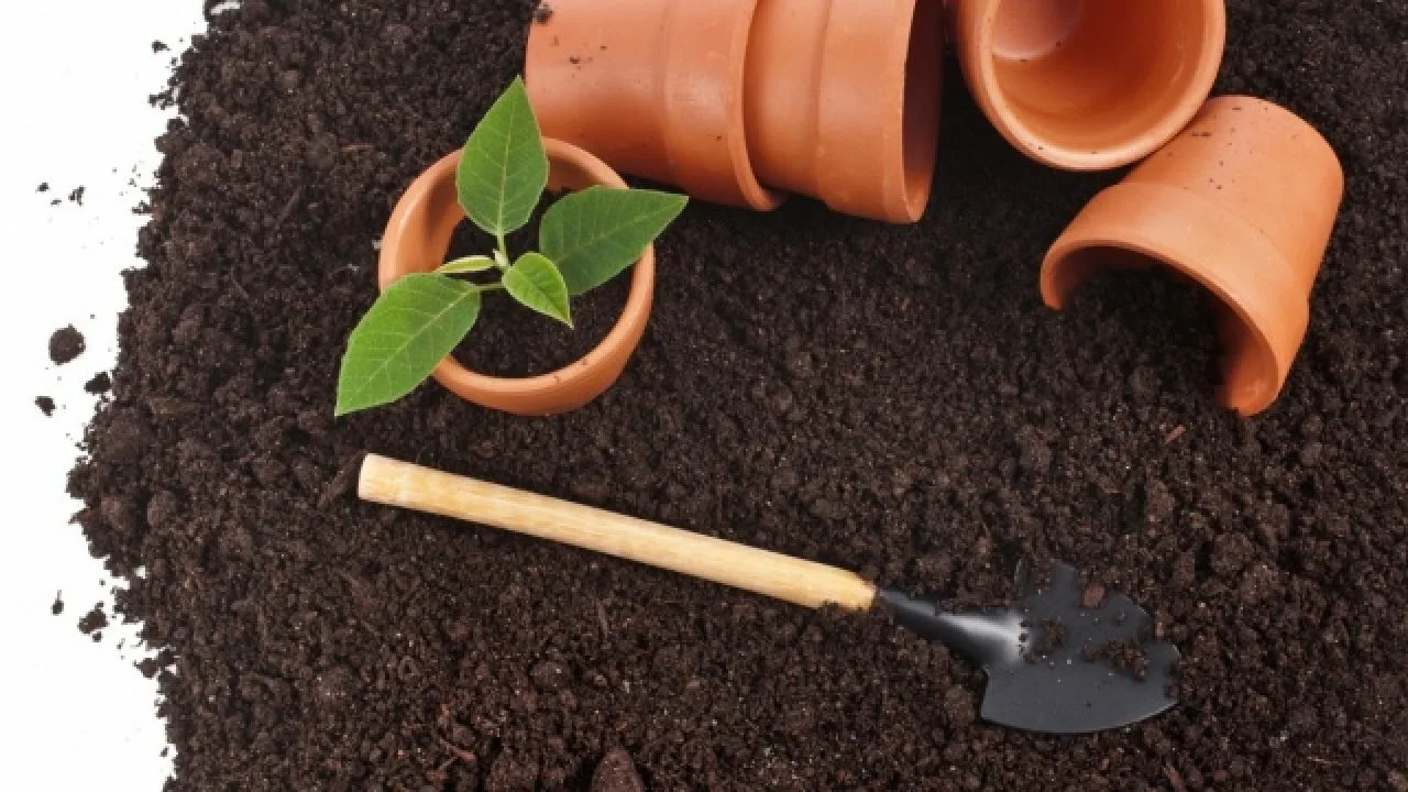 Propada li tlo za posude tijekom zime? Stručnjak nema sumnje.