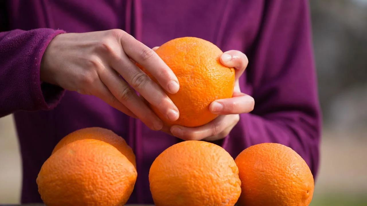 Kuhanje narančine kore na štednjaku: zašto je to potrebno i kada to učiniti.