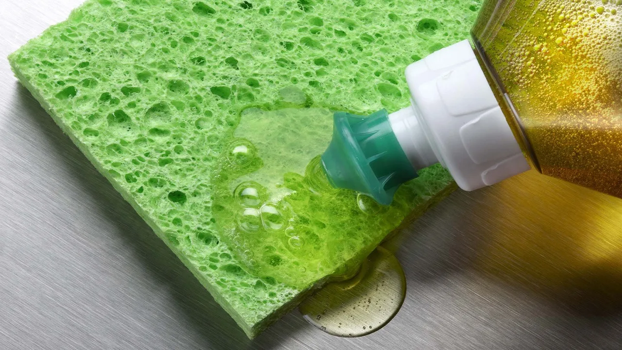 Miješanje lovora s deterdžentom: zašto se preporučuje i za što je korisno.