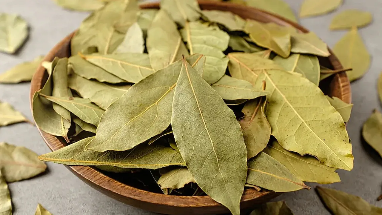 Miješanje lovora s deterdžentom: zašto se preporučuje i za što je korisno.