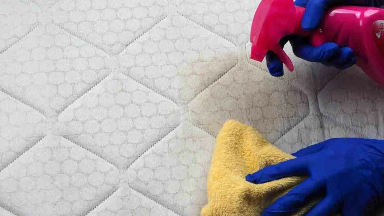 Vaiheittaiset ohjeet: kuinka käyttää etikkaa ruskeiden tahrojen poistamiseen tyynyistä ja patjoista.