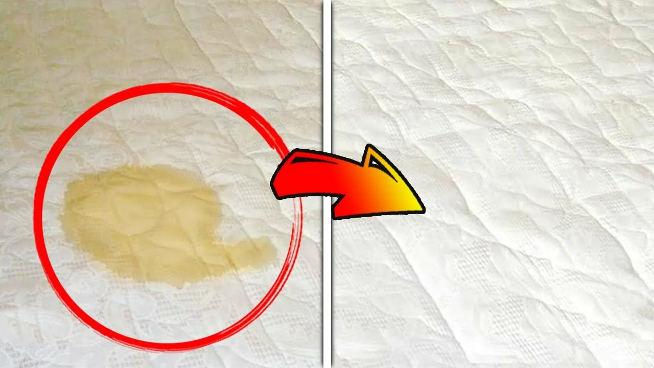 Upute korak po korak: kako octom ukloniti smeđe mrlje s jastuka i madraca.