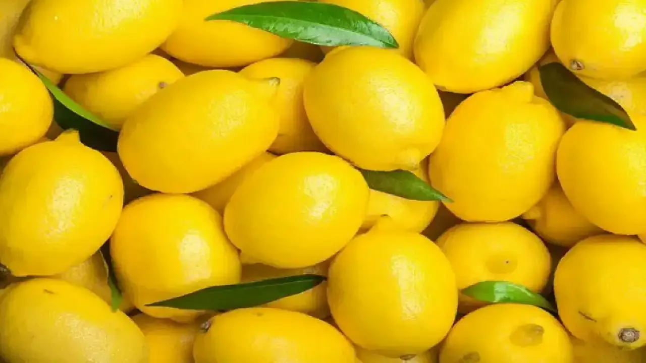 Zašto biste trebali staviti pola limuna u perilicu posuđa svaki put kad je koristite?