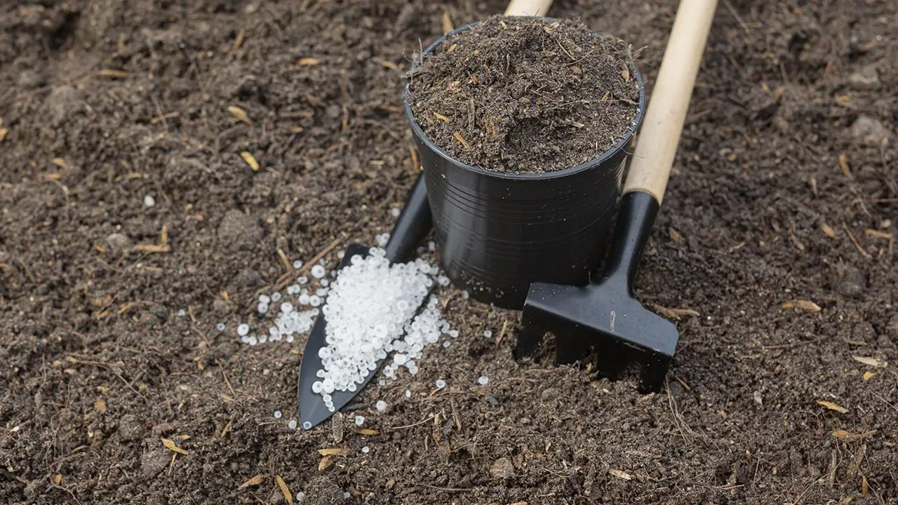 Zabadanje starih žlica u tlo ispod biljaka: zašto se to preporučuje