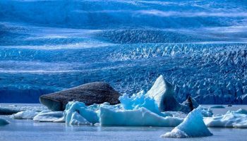 Entdeckung des Jahrhunderts | In der Antarktis wurden bisher unbekannte Meerestiere entdeckt, die die Geschichte der Biologie neu schreiben könnten