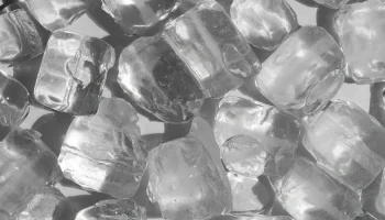 Sunt prieteni din școala primară, au avut o idee unică și astăzi câștigă 50 de milioane de dolari pe lună.