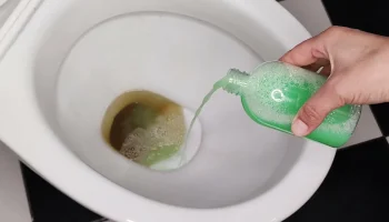 Acest produs simplu de bucătărie este mult mai mult decât un simplu degresant: curăță și toaleta!