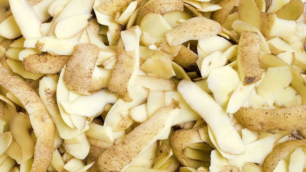 Domaće gnojivo: kako napraviti organsko gnojivo od kore krumpira.