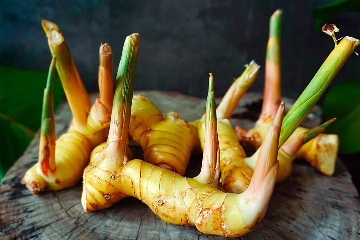 „Kuzina zázvoru“ dobýva slovenskú kuchyňu. Má podobnú chuť, ale iné vlastnosti.