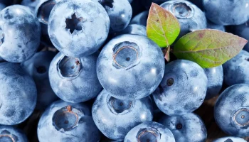 Care sunt, conform datelor științifice, beneficiile afinelor pentru sistemul cardiovascular și metabolic?