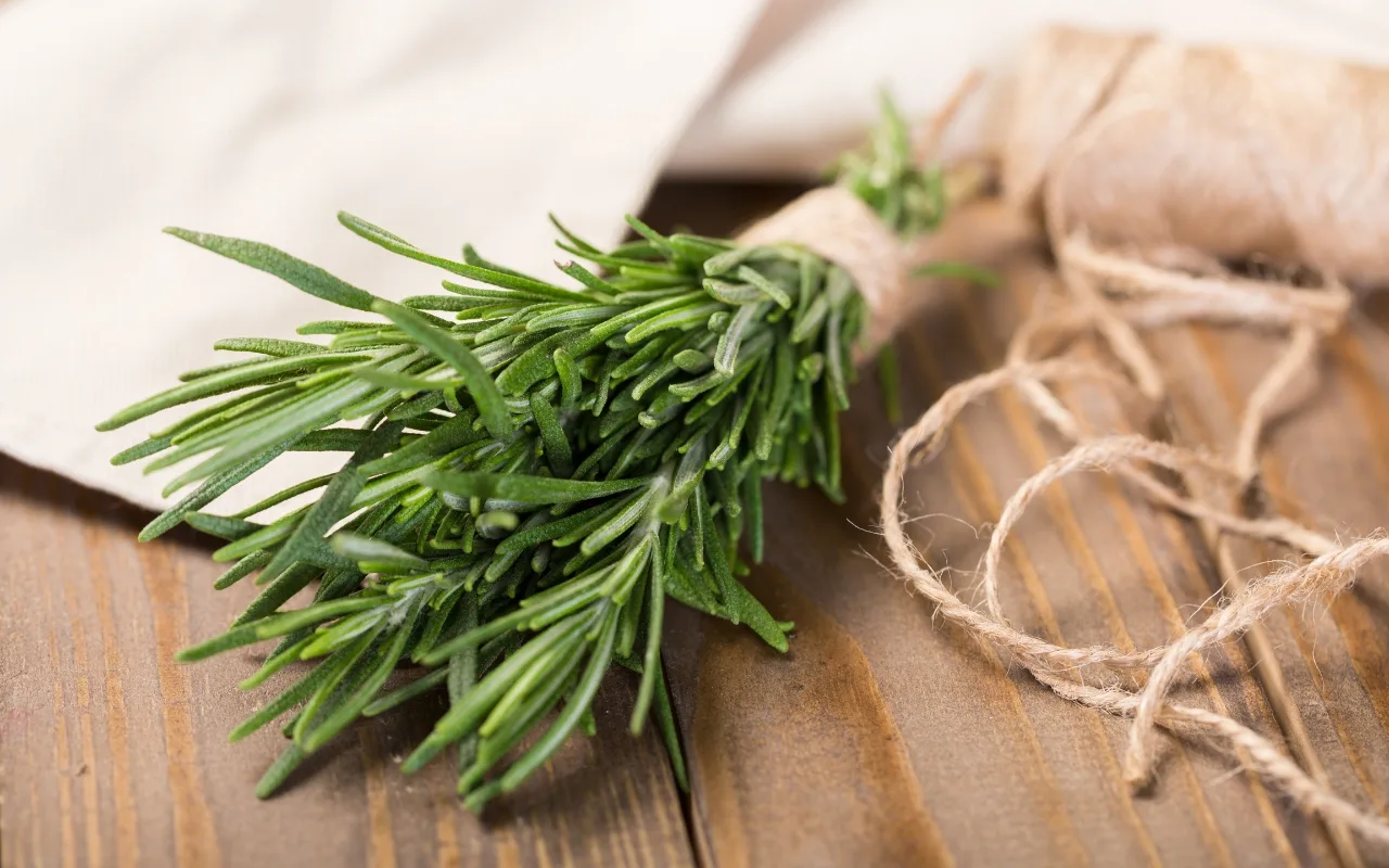 Kako staviti grančicu ružmarina u ugašenu pećnicu: zašto to učiniti i koje su njegove prednosti.