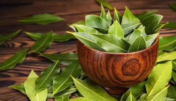 Zmes bobkového listu a jedlej sódy: prečo sa odporúča a na čo sa používa.