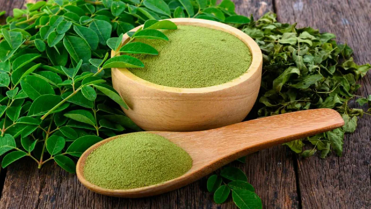 Moringa: za što se koristi biljka poznata kao 