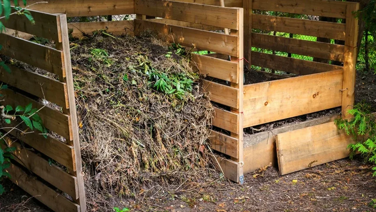 Kako napraviti kompost kod kuće i zašto ga vaše biljke primijete već u prvom mjesecu.
