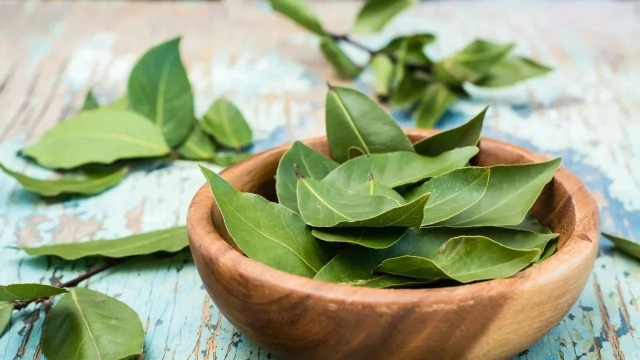 Miješanje lovorovog lista i deterdženta: zašto se preporučuje i za što je korisno.