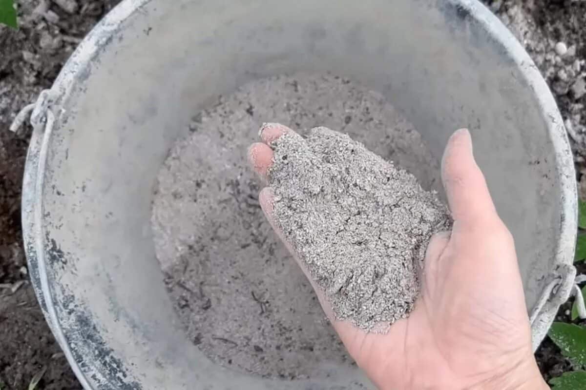 Nevyhadzujte popol z grilu, je to skutočný poklad: prečo je recyklácia odpadu ideálnym spôsobom starostlivosti o rastliny