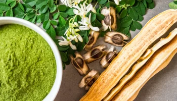 Moringa: mihin käytetään kasvia, joka tunnetaan nimellä ”elämän puu”?