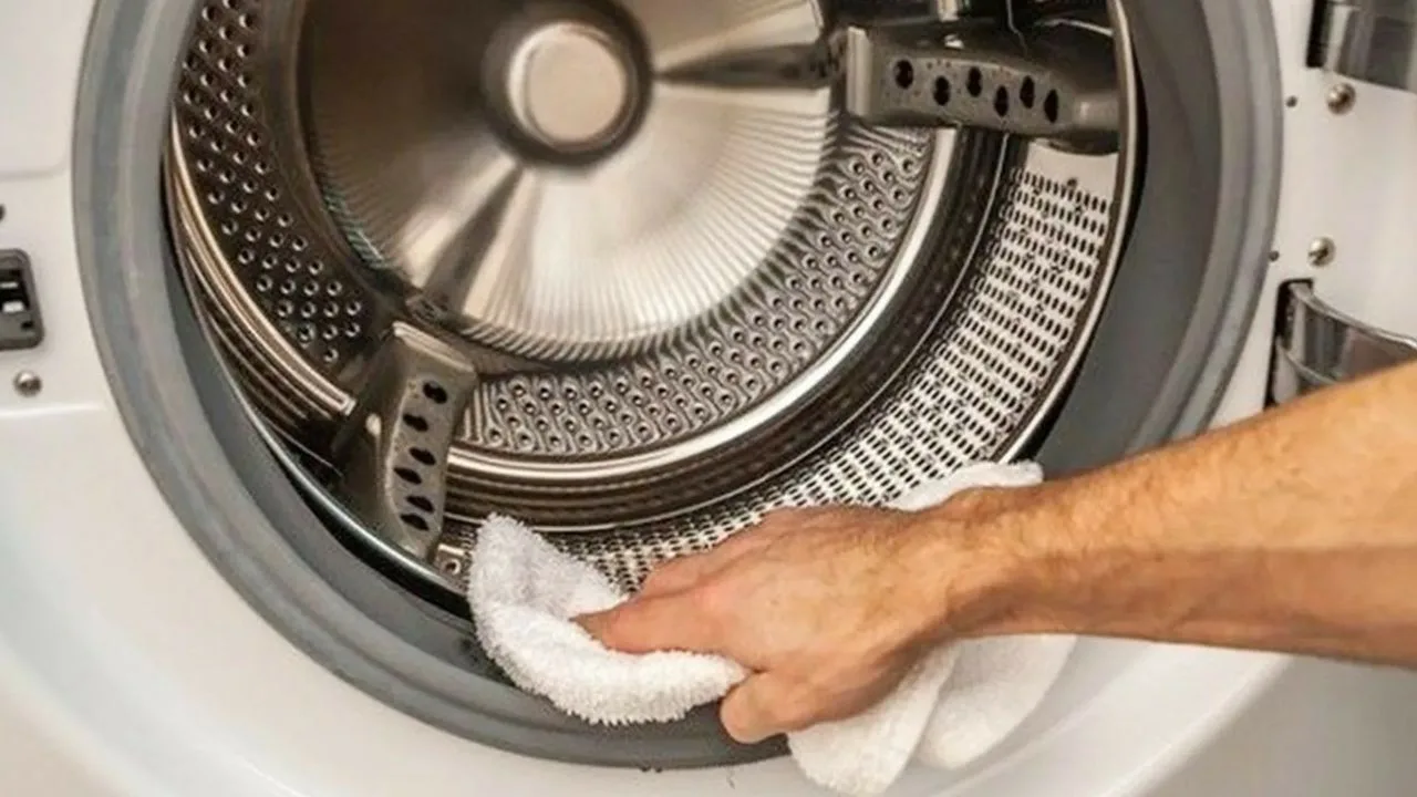 Kako očistiti unutrašnjost perilice i ukloniti dlačice, prljavštinu i ostatke deterdženta.
