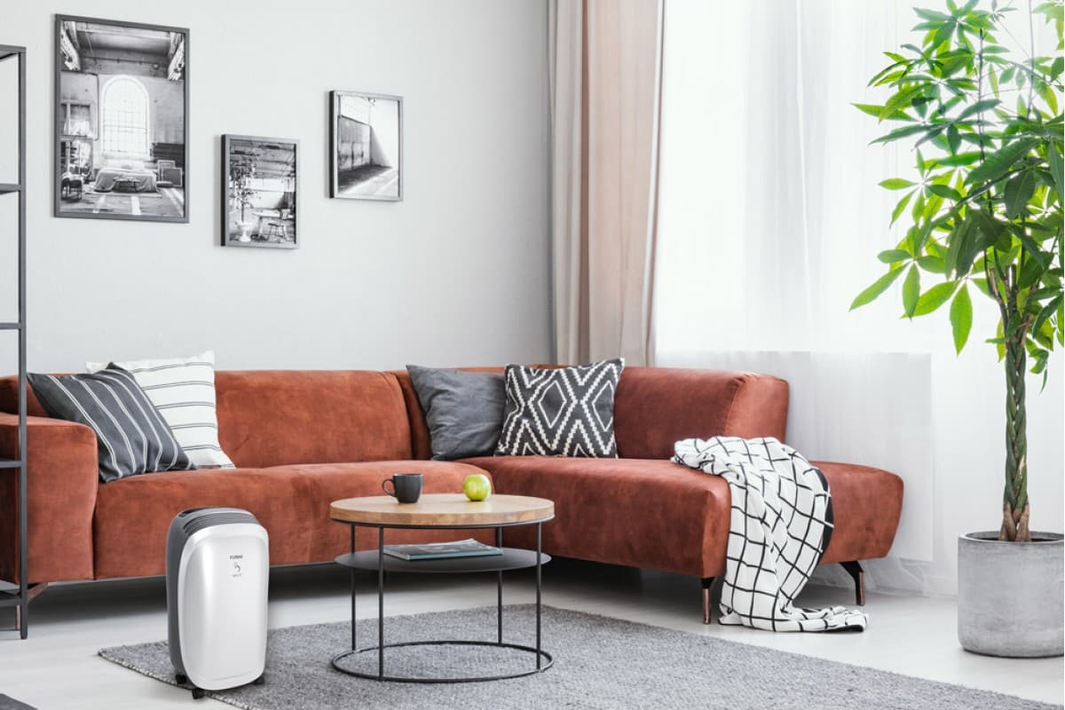 Osušovač vzduchu: koľko hodín denne by mal byť zapnutý, aby ste sa vyhli neprimerane vysokým účtom za elektrinu?