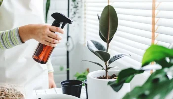 Kastelumenetelmä, jossa käytetään sydänlankaa, joka estää huonekasvien kuivumisen alhaisessa kosteudessa.