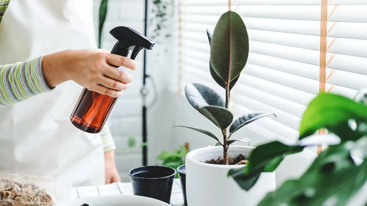 Kastelumenetelmä, jossa käytetään sydänlankaa, joka estää huonekasvien kuivumisen alhaisessa kosteudessa.