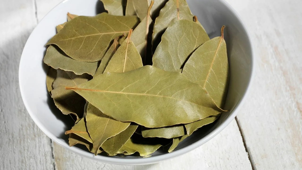 Kako staviti lovorov list u mikrovalnu: zašto je to potrebno i koliko često.