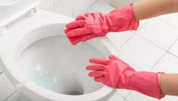 Nalejte 1 pohár prostriedku do záchodu a sklopte sedadlo. Odstráni vápenaté usadeniny a usadeniny rýchlejšie, ako stihnete povedať „čistenie záchodu“.