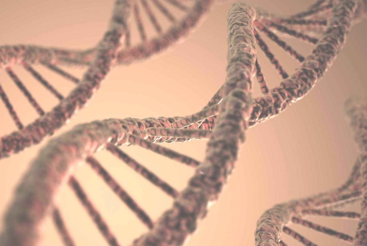 Znanstveno otkriće bez presedana: švedski istraživači uspješno su izolirali DNK iz životinje koja je izumrla prije 130 godina.