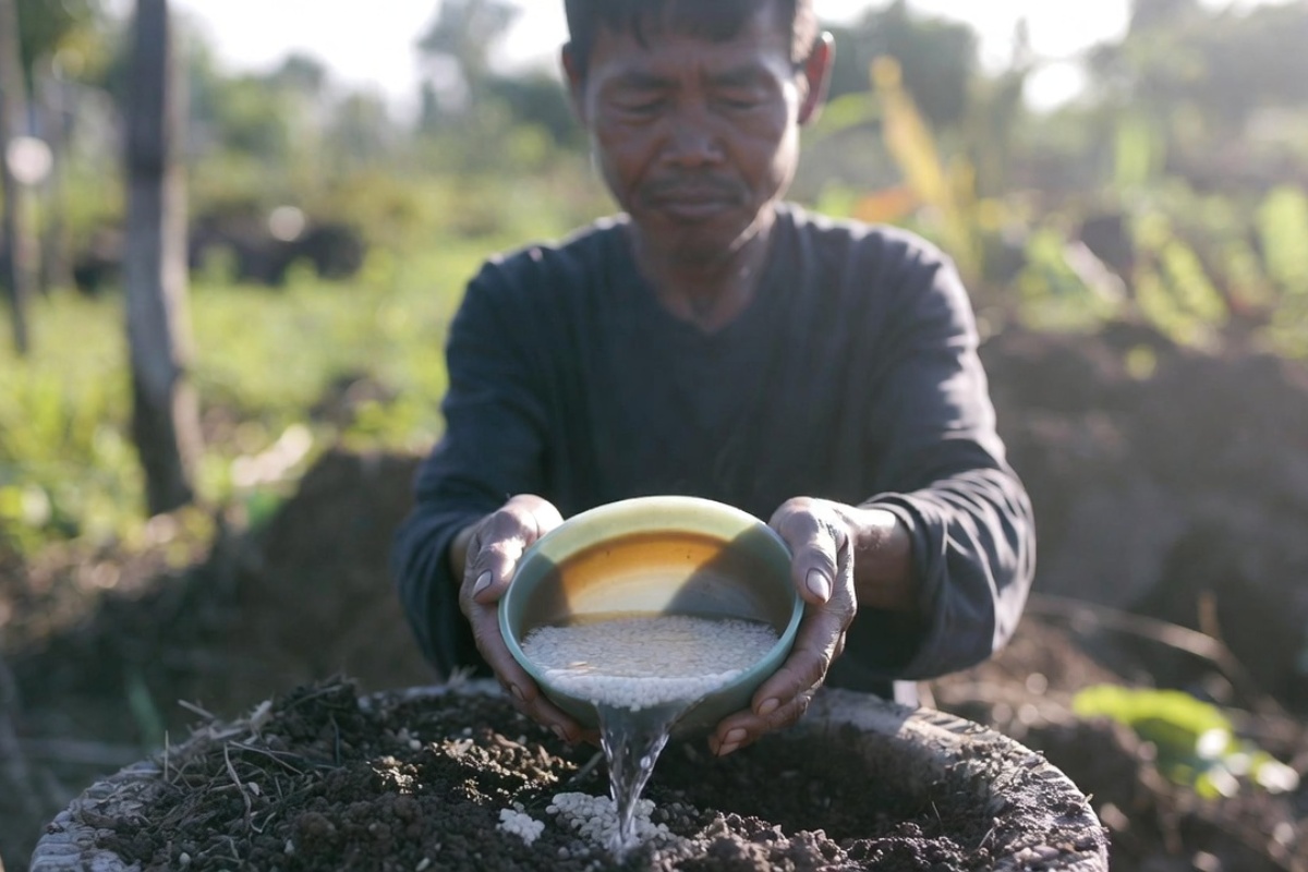 Zalivanje zemlje potosa pirinčanom vodom: zašto se preporučuje i čemu služi – image 1