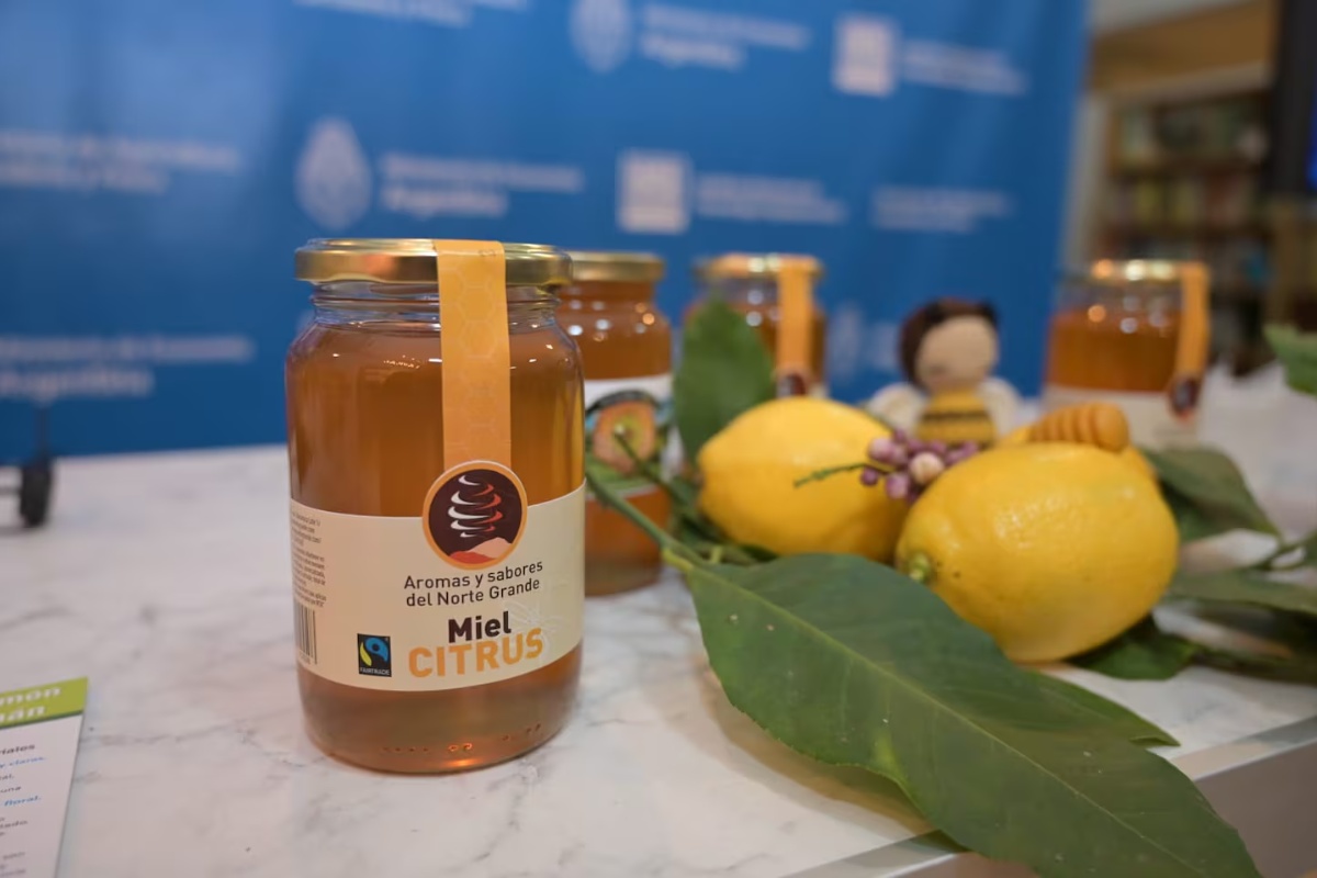 Stavljanje meda na limun: čemu služi i zašto se preporučuje – image 1