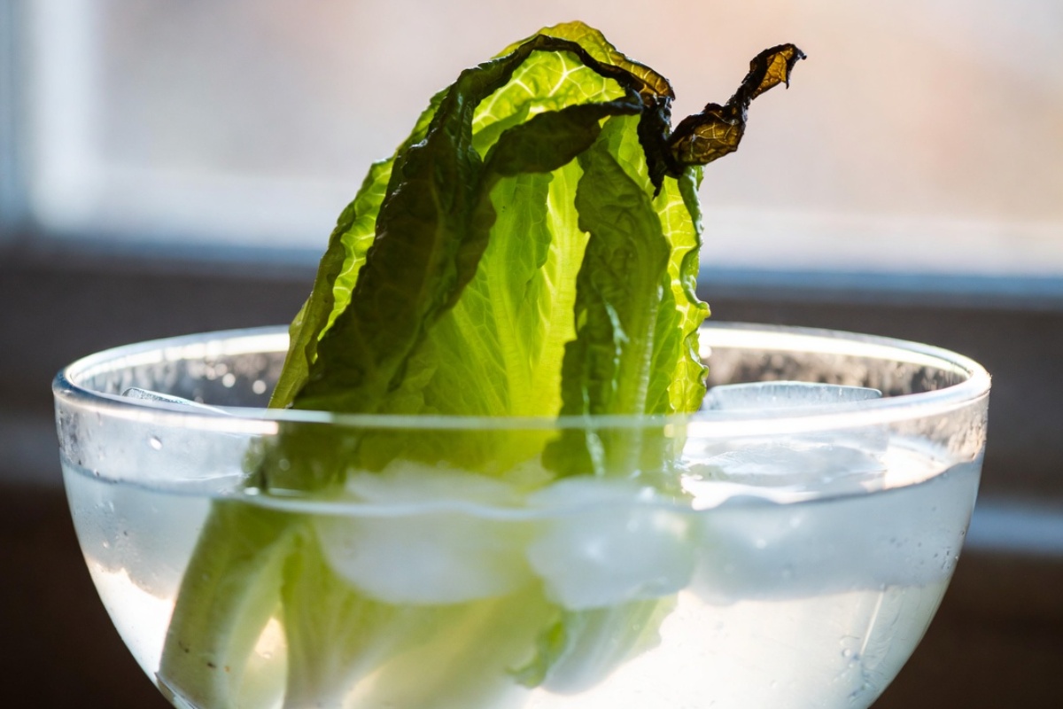 Potapanje zelene salate u vodu sa ledom: čemu služi ovaj postupak od 10 minuta i zašto – image 1