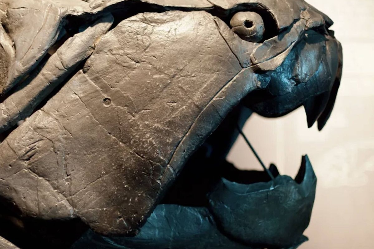 Japan istražuje dno okeana na 5.500 metara i pronalazi živo biće sa metalnim jezikom – image 1