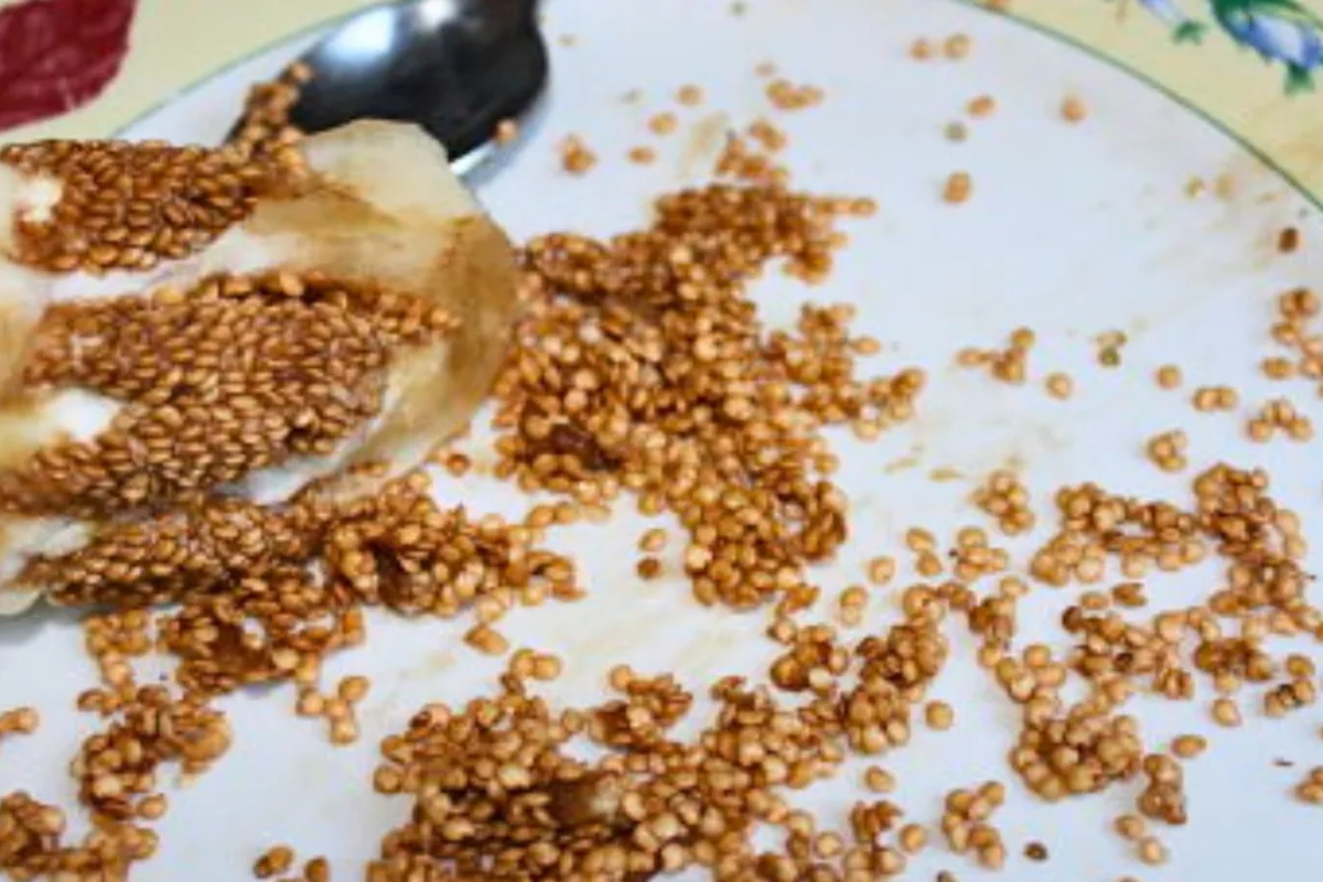 Ne bacajte semenke patlidžana jer u rukama imate blago: evo čemu služe – image 1