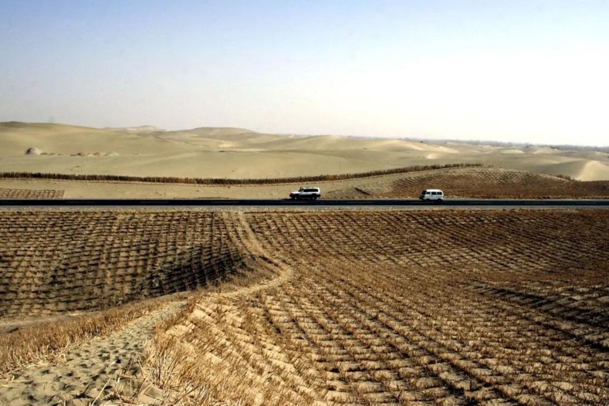 Kina pretvara pustinju u plodnu zemlju sejući organizme stare 3,5 milijardi godina – image 1