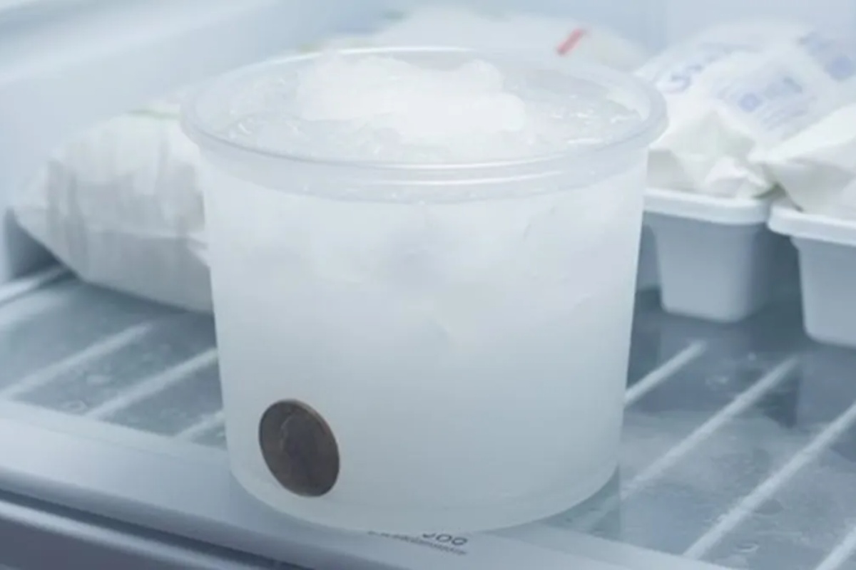 Stavite novčić u zamrzivač: zašto se to preporučuje i čemu služi – image 1