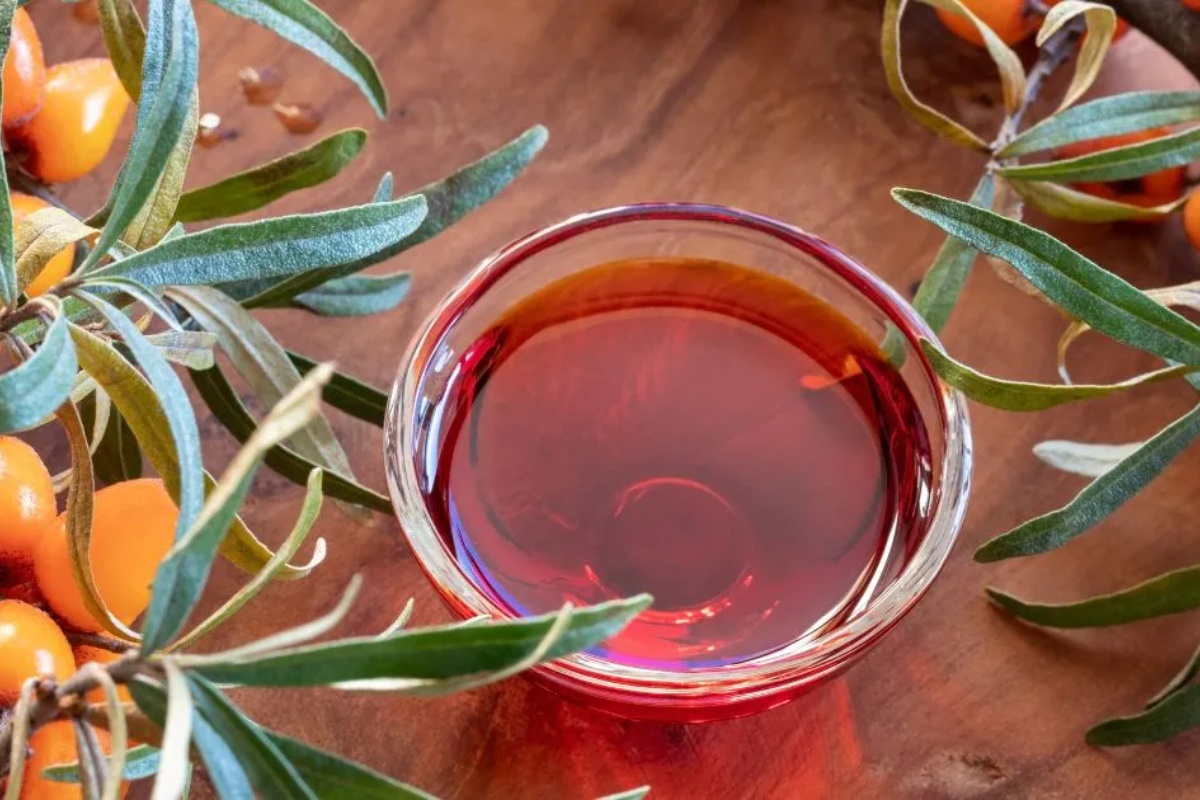 Moćna zaštita jetre i bubrega. Potcenjeno srpsko blago – image 1