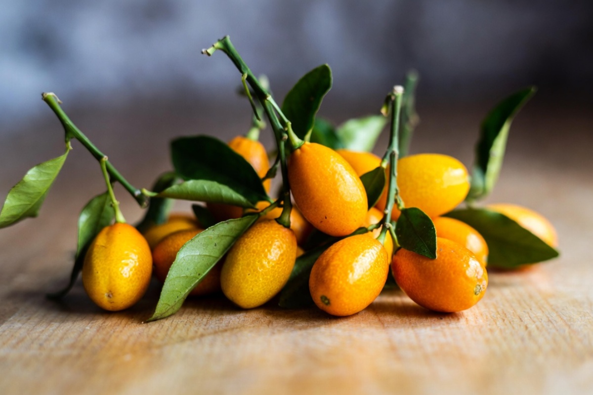 Kumkvat: kakvo je to voće, kako se jede, koliko je zdravo za organizam i da li se može jesti sa korom? – image 1