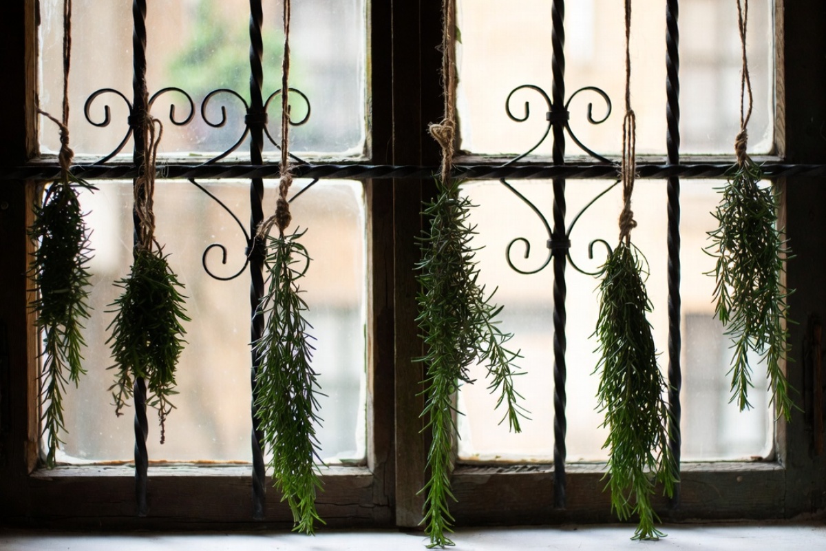 Kačenje grančica ruzmarina na rešetke prozora: čemu služi i koje su prednosti – image 1