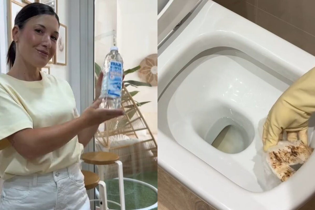 Stavljanje aluminijumske folije u toalet: čemu služi i zašto se preporučuje – image 1