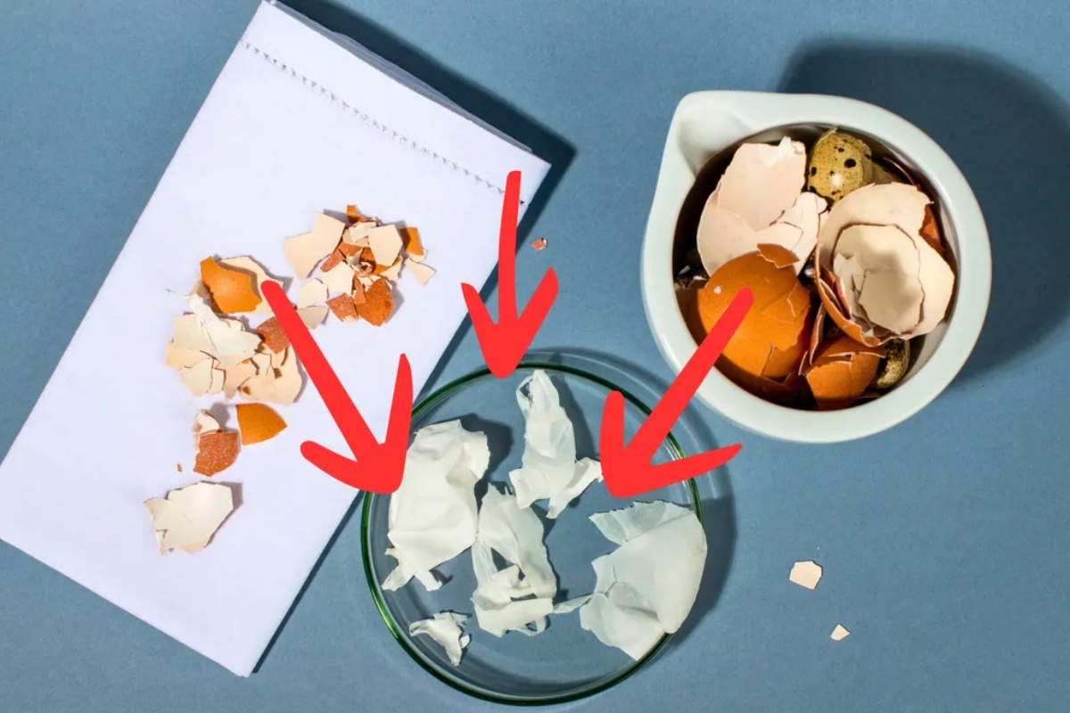 Ne bacajte ovaj deo ljuske jajeta i imaćete u rukama blago za svoju kožu – image 1