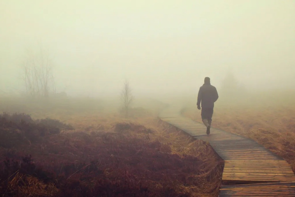 Japanska mudrost: Poslovica koja prkosi ideji da je sudbina zapisana i otkriva od čega ona zapravo zavisi – image 1