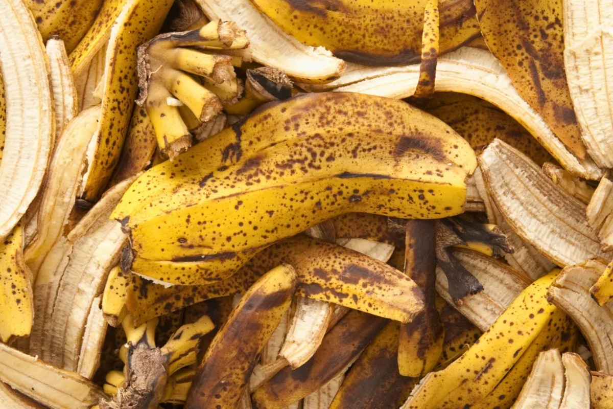 Kako oživeti suvi limun pomoću kora od banane: efikasno domaće đubrivo – image 1